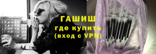 гашик Алексин