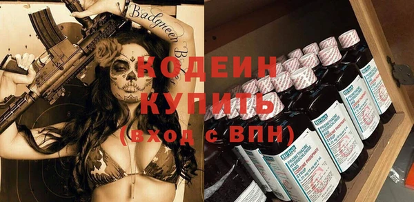 гашик Алексин