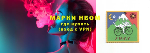 гашик Алексин