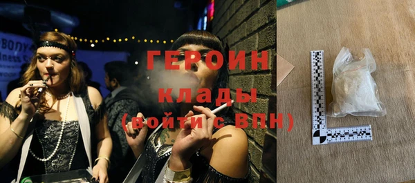 гашик Алексин