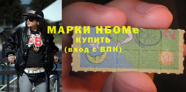 гашик Алексин
