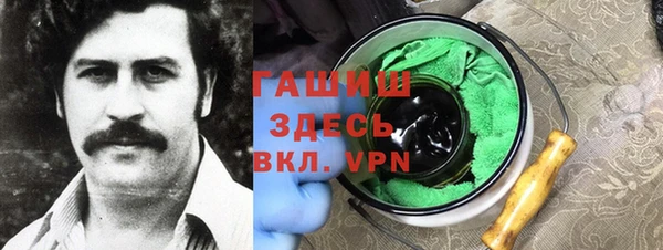 гашик Алексин