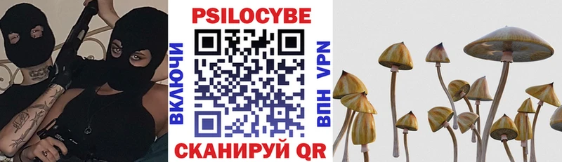 blacksprut tor  Воткинск  Галлюциногенные грибы мицелий 
