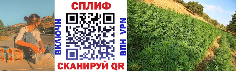 дарнет шоп  Воткинск  Бошки марихуана SATIVA & INDICA 